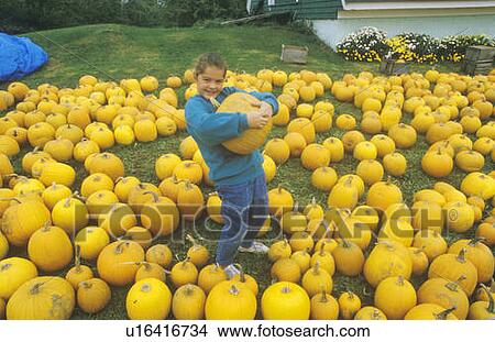 Picture - Little Girl in Pumpkin Patch. Fotosearch