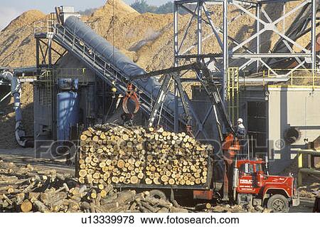 Logs being lifted from a truck into the milling process View Large Photo Image Stock Photo - Logs being lifted from a truck into the milling process. Fotosearch