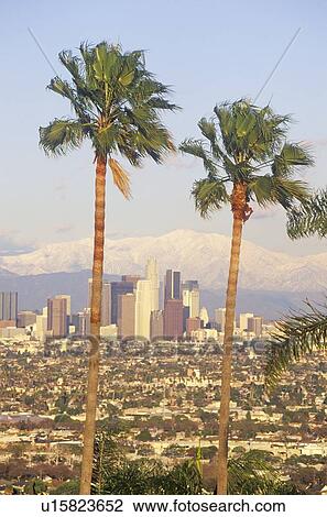 Los Angeles Skyline View Large Photo Image Stock Image - Los Angeles Skyline. Fotosearch