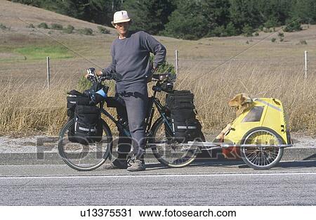 Stock Image - Male bicyclist posing with dog in carrier. Fotosearch