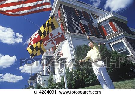 Man Raising American and Maryland Flags View Large Photo Image Stock Image - Man Raising American and Maryland Flags. Fotosearch