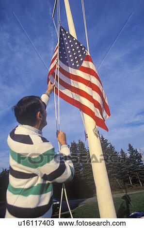Man Raising American Flag View Large Photo Image Stock Image - Man Raising American Flag. Fotosearch