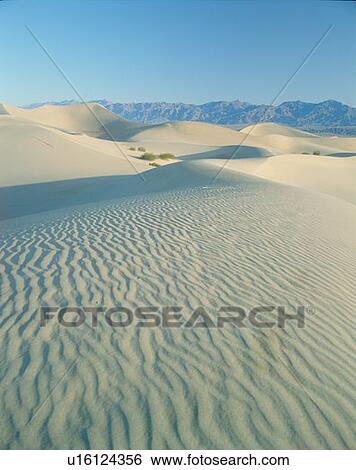 Mesquite Flat Sand Dunes in Death Valley National Monument, California View Large Photo Image Stock Photograph - Mesquite Flat Sand Dunes in Death Valley National Monument, California. Fotosearch