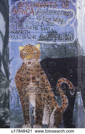 Mural of cheetah View Large Photo Image Stock Image - Mural of cheetah. Fotosearch