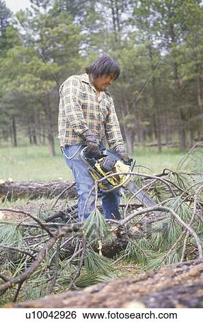 Stock Photograph - Native American cutting wood with chain saw. Fotosearch