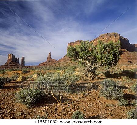 Navajo Indian Land, Monument Valley, Arizona View Large Photo Image Stock Image - Navajo Indian Land, Monument Valley, Arizona. Fotosearch