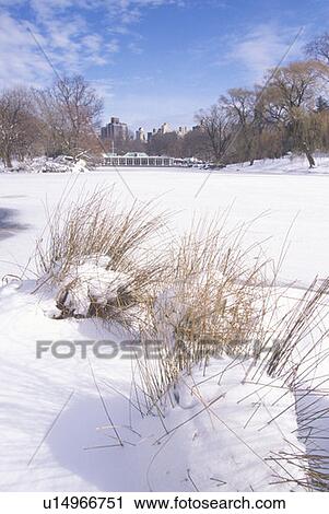 New York in Winter View Large Photo Image Stock Image - New York in Winter. Fotosearch
