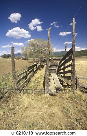 Stock Photo - Old cattle loading gate. Fotosearch