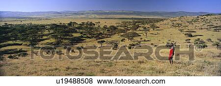 Panoramic view as Masai Warrior in red surveying landscape View Large Photo Image Stock Photo - Panoramic view as Masai Warrior in red surveying landscape. Fotosearch