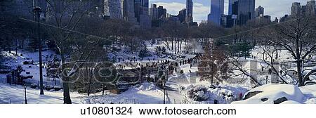Picture - Panoramic view of ice skating in Central Park. Fotosearch