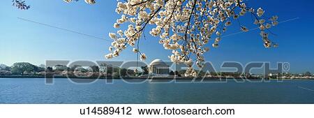Stock Image - Panoramic view of Jefferson Memorial. Fotosearch