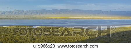 Panoramic view of mirror reflections on Soda Lake View Large Photo Image Stock Image - Panoramic view of mirror reflections on Soda Lake. Fotosearch