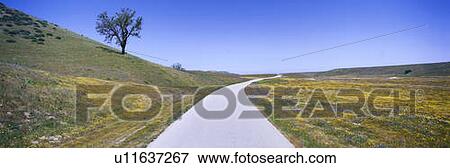 Stock Photo - Panoramic view of spring flowers. Fotosearch