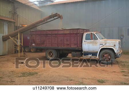Stock Photo - Peanuts being loaded onto truck at peanut facility in Plains, Georgia. Fotosearch