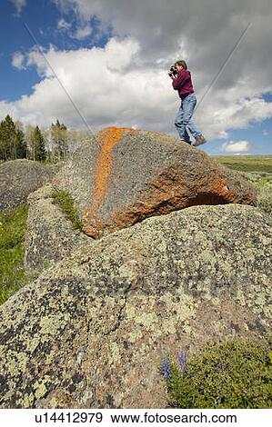 Stock Photo - Photographer and ancient orange lichens growing on rocks in Centennial Valley. Fotosearch