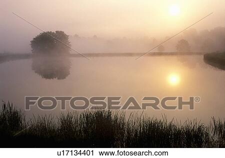 Pond at Sunrise with Morning Mist View Large Photo Image Stock Image - Pond at Sunrise with Morning Mist. Fotosearch