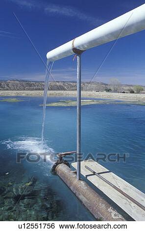 Pond for Irrigation Drainage View Large Photo Image Stock Photograph - Pond for Irrigation Drainage. Fotosearch