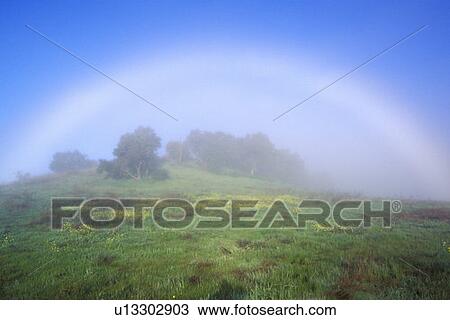 Rainbow In A Field View Large Photo Image Stock Image - Rainbow In A Field. Fotosearch