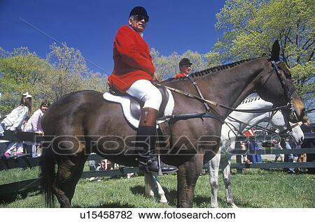 Stock Image - Rider on horseback observing steeplechase field. Fotosearch