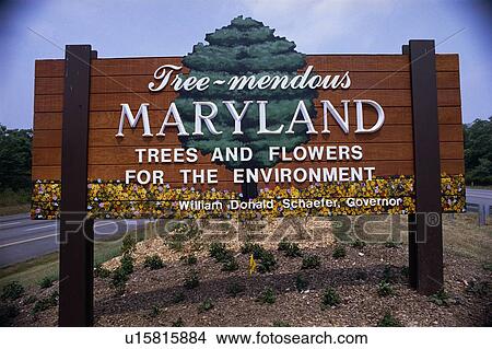 Picture - Road sign that says Tree-mendous Maryland. Fotosearch