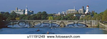Stock Photo - Rowers on Charles River. Fotosearch