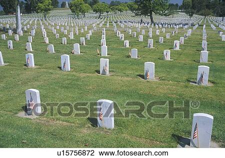 Rows of Gravestones, Los Angeles, California View Large Photo Image Stock Image - Rows of Gravestones, Los Angeles, California. Fotosearch
