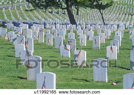 Stock Photography - Rows of Gravestones, Los Angeles, California. Fotosearch
