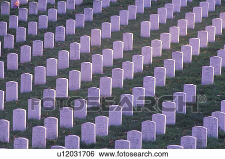Rows of Gravestones View Large Photo Image Stock Photograph - Rows of Gravestones. Fotosearch