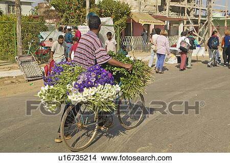 San Lazaro Catholic Church and bicyclist with flowers in El Rincon, Cuba View Large Photo Image Picture - San Lazaro Catholic Church and bicyclist with flowers in El Rincon, Cuba. Fotosearch