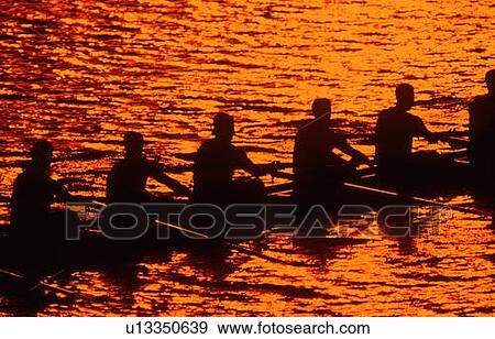 Stock Photo - Silhouetted rowing crew on the Charles River, Cambridge, Massachusetts. Fotosearch