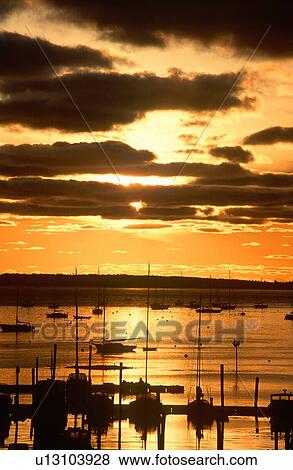 Silhouetted sailboats in harbor at sunset View Large Photo Image Stock Photo - Silhouetted sailboats in harbor at sunset. Fotosearch