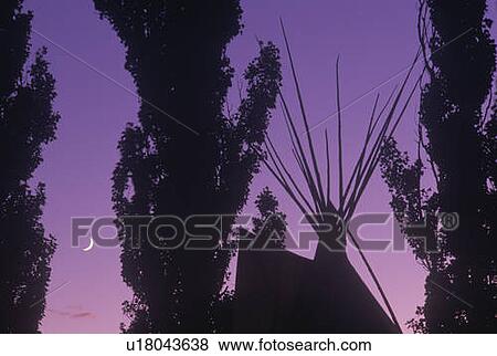 Silhouetted Teepee and trees against purple sky & crescent moon View Large Photo Image Stock Photo - Silhouetted Teepee and trees against purple sky & crescent moon. Fotosearch