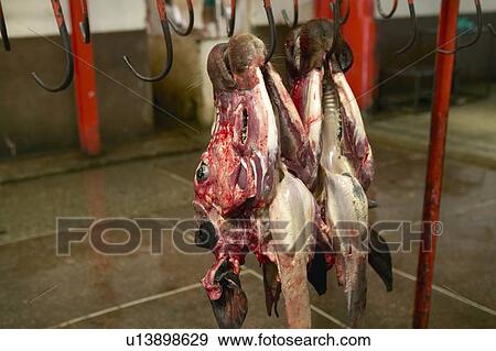 Slaughterhouse View Large Photo Image Stock Photo - Slaughterhouse. Fotosearch