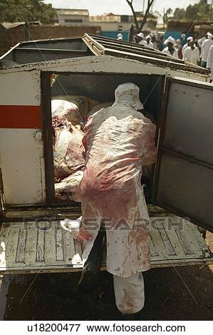 Stock Photo - Slaughterhouse. Fotosearch