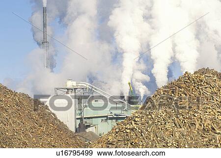 Smoke fills the air behind two large piles of logs View Large Photo Image Stock Photo - Smoke fills the air behind two large piles of logs. Fotosearch