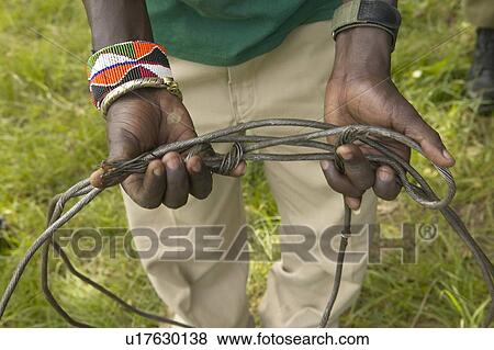 Stock Photo - Snaring trap for animals. Fotosearch