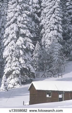 Snow covered wooden cabin in forest View Large Photo Image Stock Image - Snow covered wooden cabin in forest. Fotosearch