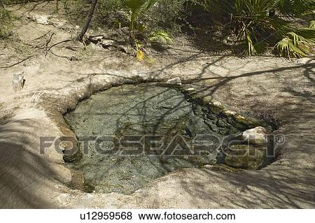 Source of spring water View Large Photo Image Stock Photo - Source of spring water. Fotosearch