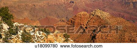 South Rim Of The Grand Canyon, Arizona View Large Photo Image Stock Image - South Rim Of The Grand Canyon, Arizona. Fotosearch