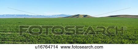 Picture - Spring Valley, Antelope Valley, California. Fotosearch