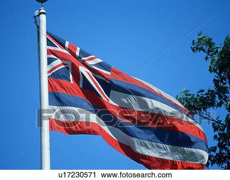 Stock Image - State Flag of Hawaii. Fotosearch