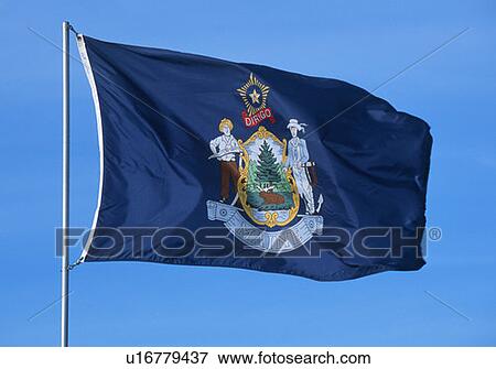 State Flag of Maine View Large Photo Image Stock Photo - State Flag of Maine. Fotosearch