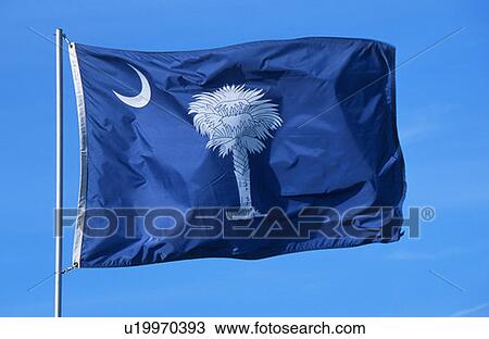 Stock Image - State Flag of South Carolina. Fotosearch