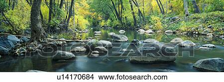 Stream in Cottonwood Canyon View Large Photo Image Picture - Stream in Cottonwood Canyon. Fotosearch