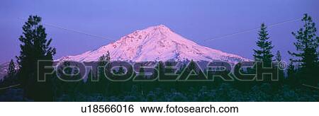 Sunrise at Mount Shasta, California View Large Photo Image Stock Photograph - Sunrise at Mount Shasta, California. Fotosearch
