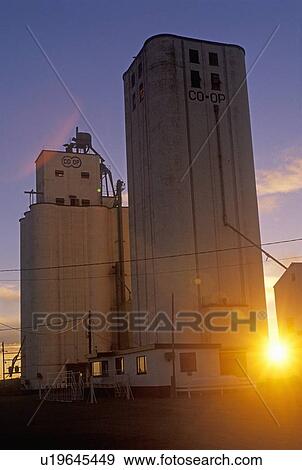 Sunrise over a large commercial grain silo View Large Photo Image Stock Photo - Sunrise over a large commercial grain silo. Fotosearch