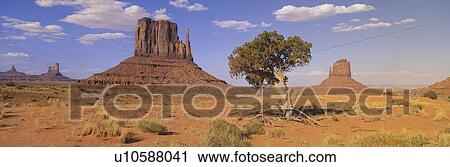 Stock Image - These are the three Mittens and a desert tree.. Fotosearch