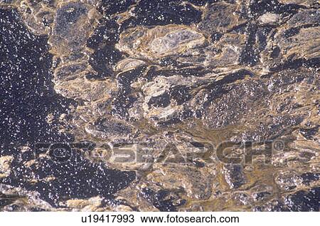 Thick crude oil floating on top of ocean water View Large Photo Image Stock Image - Thick crude oil floating on top of ocean water. Fotosearch