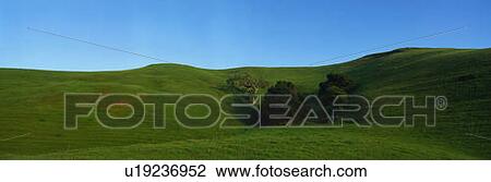 This is a green, grassy spring field. View Large Photo Image Stock Image - This is a green, grassy spring field. . Fotosearch