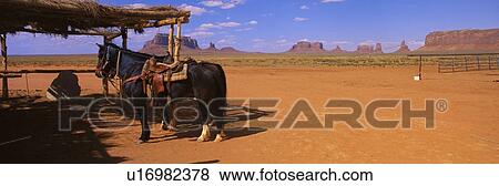This is a horse left outside a dwelling on the Navajo Nation in Monument Valley. View Large Photo Image Stock Photo - This is a horse left outside a dwelling on the Navajo Nation in Monument Valley. . Fotosearch
